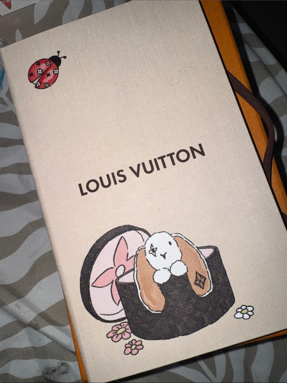Louis Vuitton Jane Notebook Medium (sold out on website)